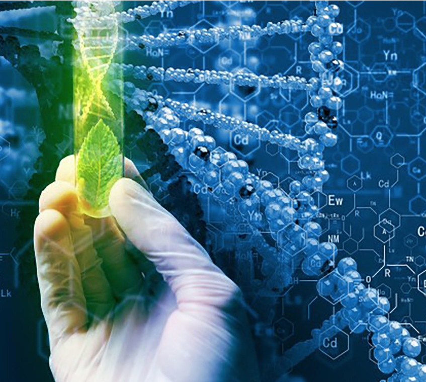 Enzimas – la clave de la biotecnología