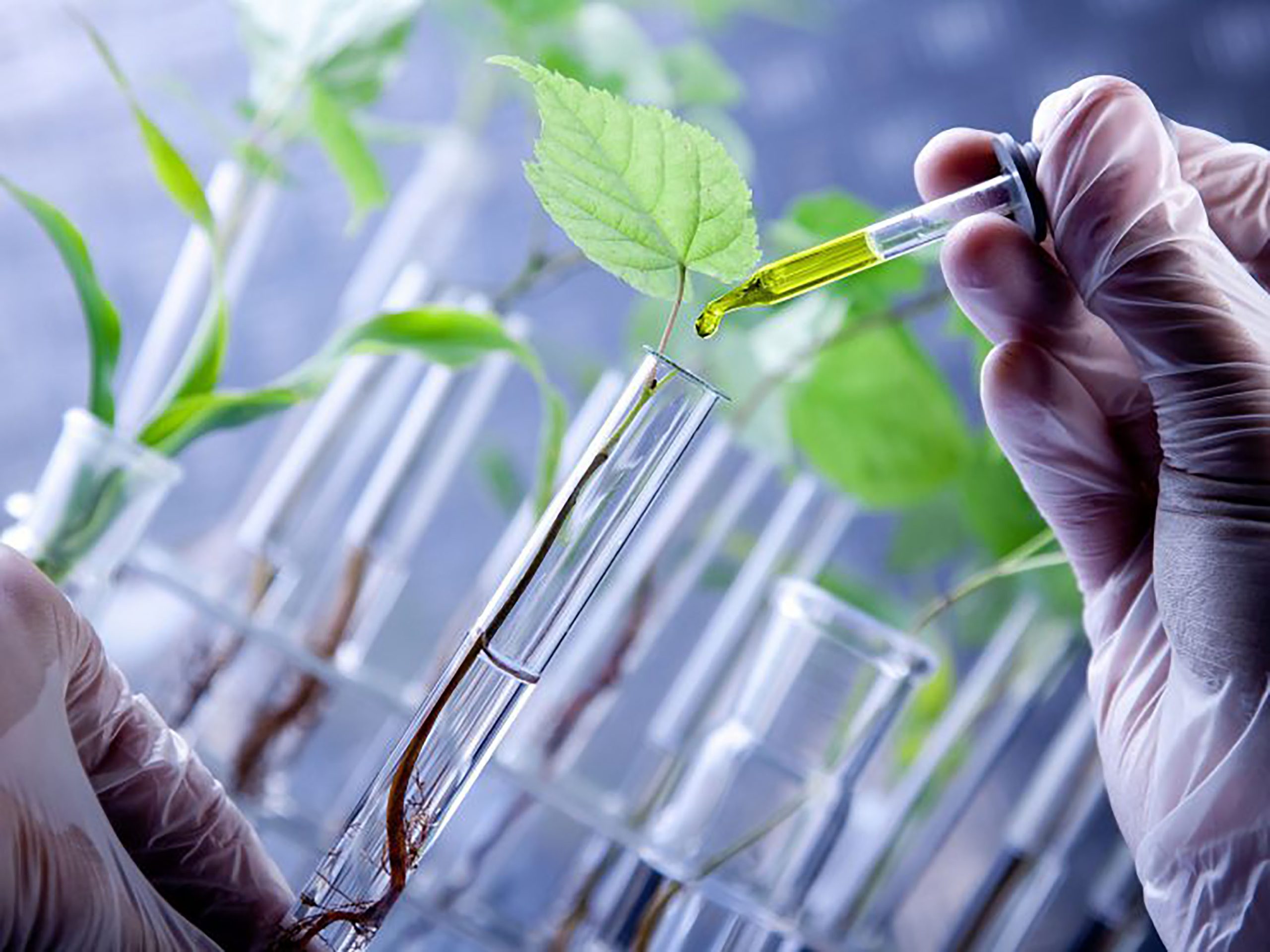 Enzimas – A chave da biotecnologia