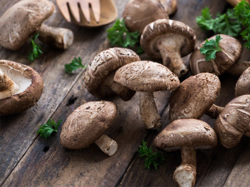Fungi-based protein: Arla Foods to collaborate with start-up Mycora to propel plant-based innovation