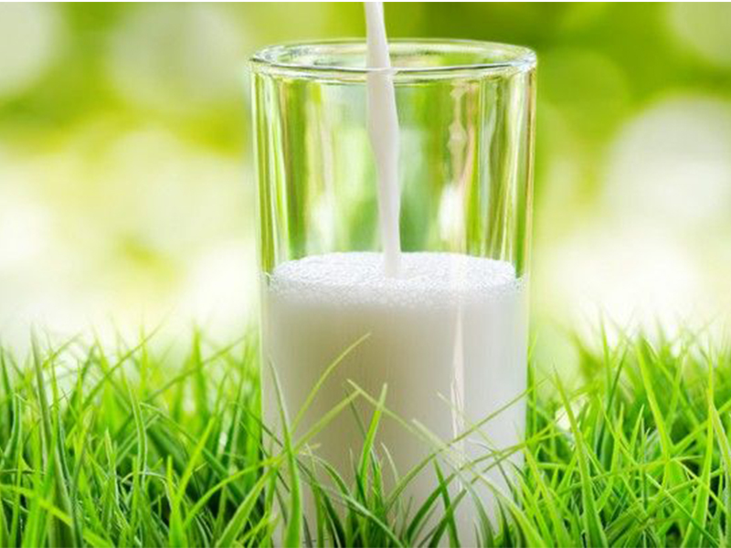 Arla ramps up sustainable dairy commitment with new Nigerian partnership