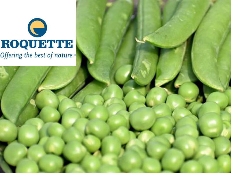 Roquette appoints new VP for pea, new proteins business