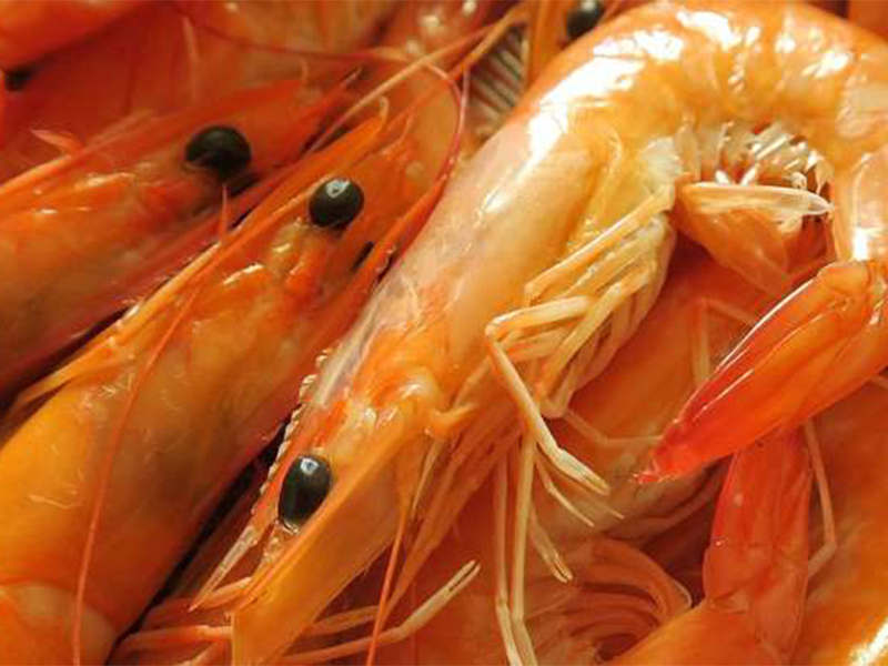 Tyson invests in "shellfish" company