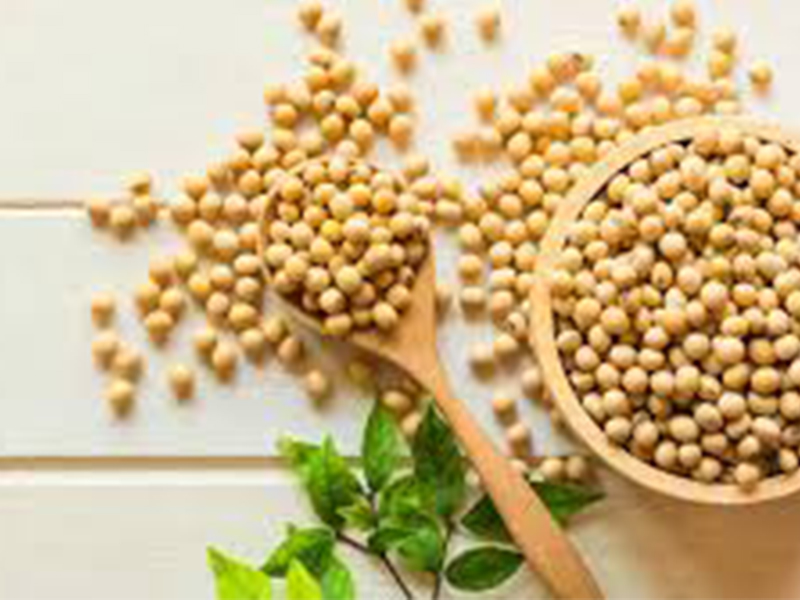 Increasing Brazilian grain production: Bunge to acquire 30 percent of Agrofel