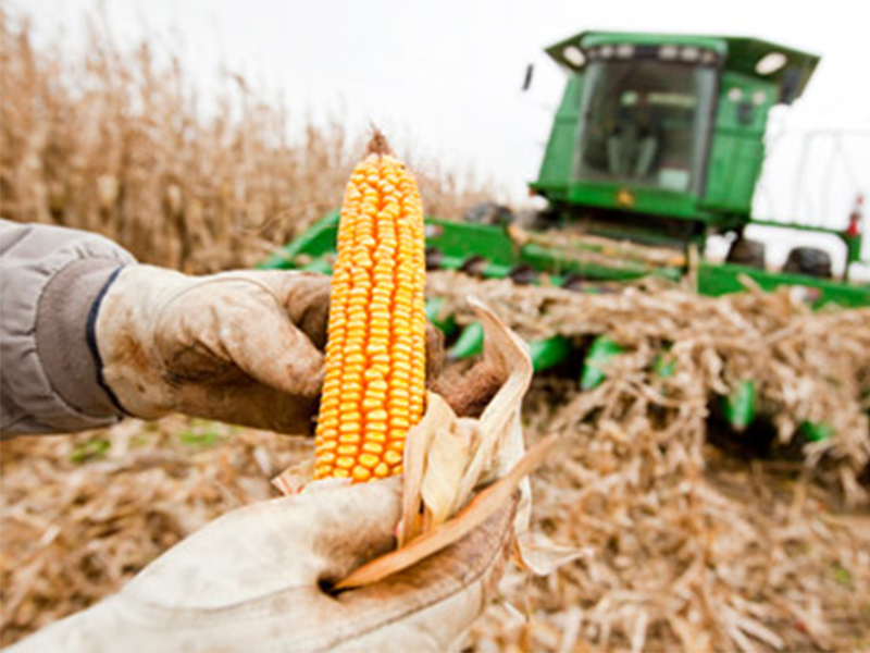 Tate & Lyle and Land O’Lakes SUSTAIN launch landmark sustainability initiative on 1.5 million acres of U.S. corn