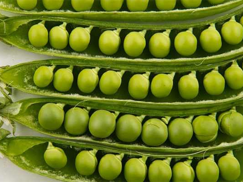 Cargill increases PURIS investment