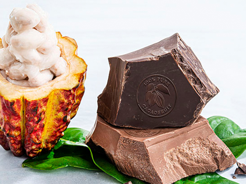 Barry Callebaut announce ‘Cacaofruit Experience’