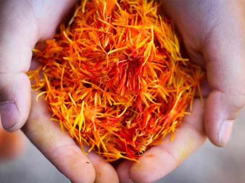 Pharmactive launches saffron extract