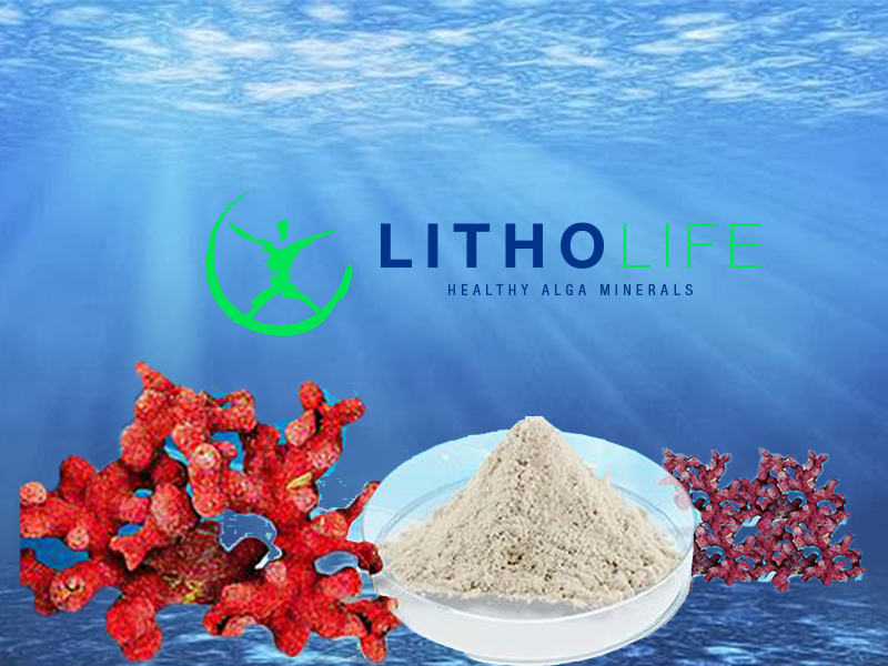 Alternativa natural de alga marinha para consumo de minerais quelatos.