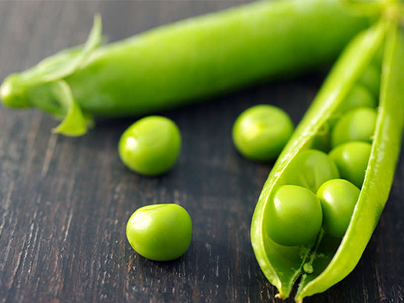 Cosucra opens Danish pea processing plant