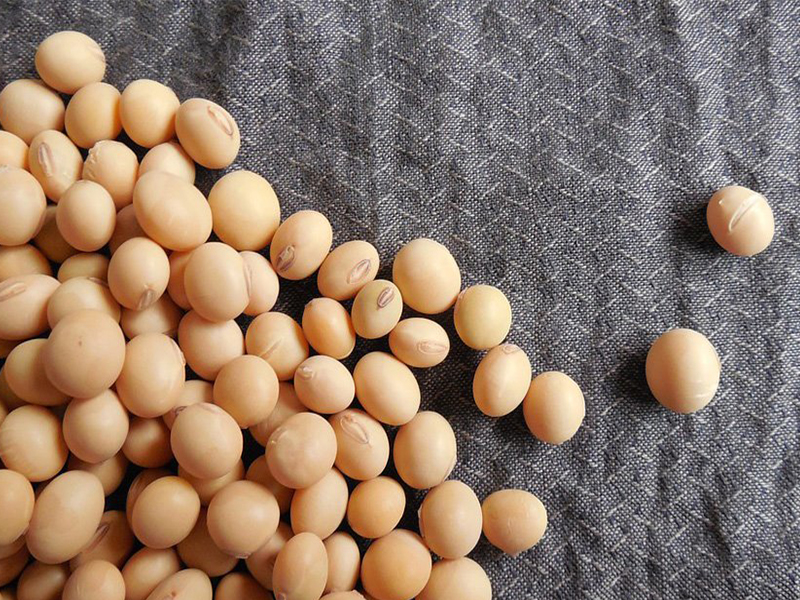 Givaudan announces flavour technique for texturised vegetable protein