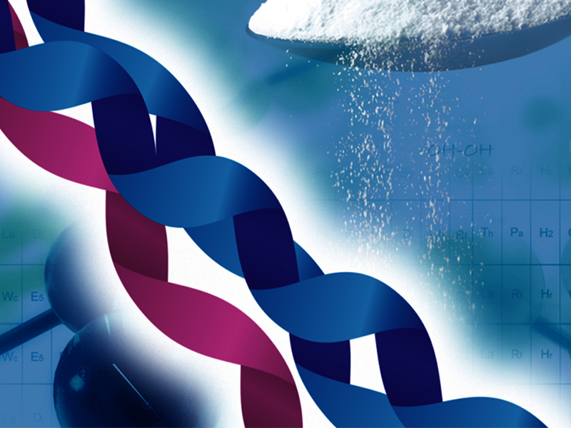 Rousselot® announces new business segment organization supporting its evolving range of collagen-based solutions