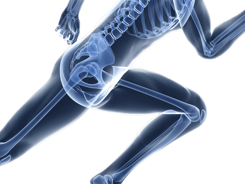 Rousselot announces the latest results of published study on the effects of Peptan® on bone remodelling