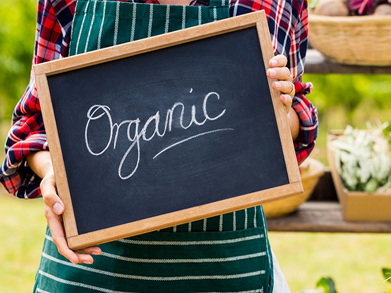 Demanda de consumo por alimentos saudáveis impulsiona produtos orgânicos no Brasil