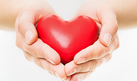 Saúde cardiovascular e ingredientes alimentícios