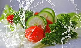 Alimentação plant based: a tendência que veio para ficar