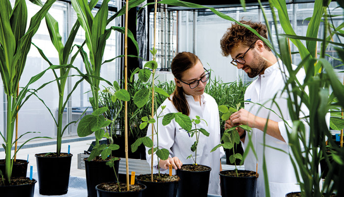 Q1 results in line with expectations, momentum improved in Food Cultures & Enzymes