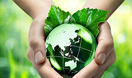 “A key influencer of consumers’ purchase decisions”: F&B suppliers stay ahead of the sustainability curve