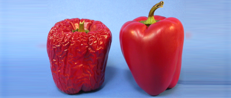 Invisible packaging: Sufresca eyes fresh produce edible coatings commercialization