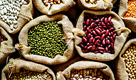 Proteínas vegetais: novas oportunidades para a indústria de alimentos