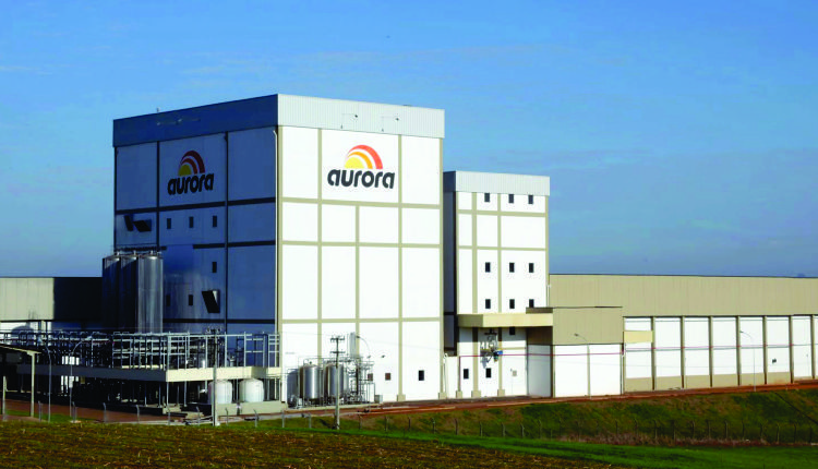 Aurora faz proposta para comprar unidade de aves da Chapecó