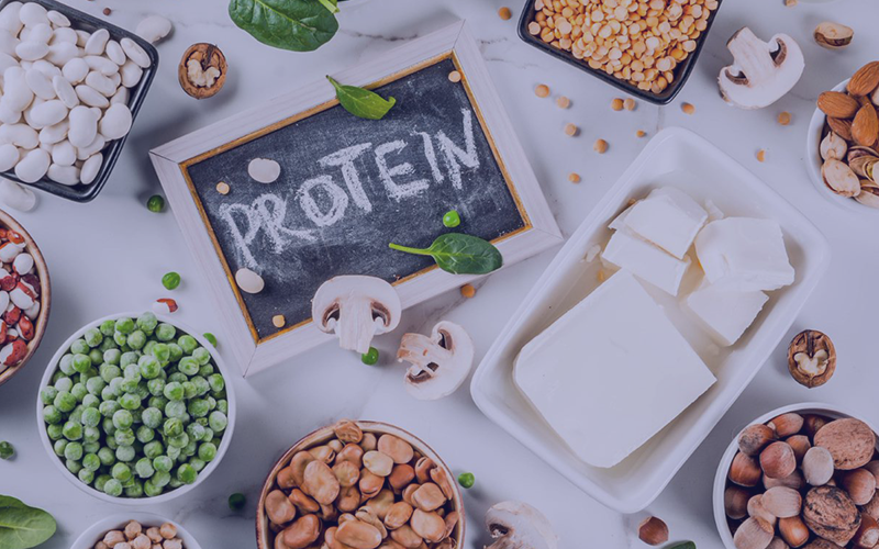 Proteína vegetal – Quantidade e qualidade são importantes
