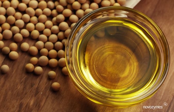Novozymes lança produto para maior rendimento da indústria de óleos vegetais