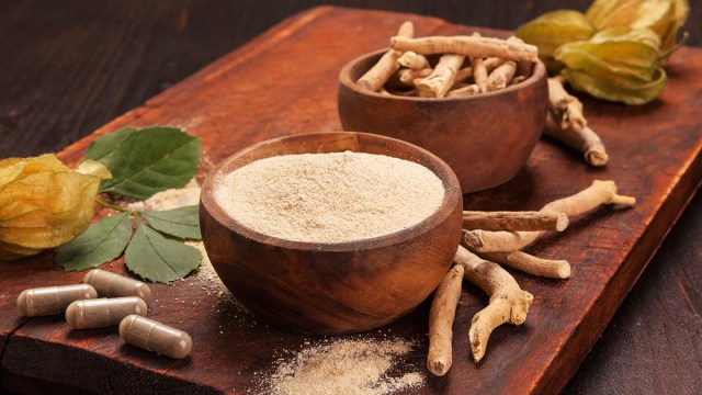 Ashwagandha – A nova estrela entre os adaptógenos