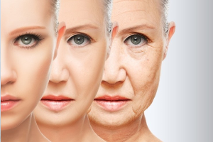 Probióticos e fitonutrientes como ingredientes rejuvenescedores?