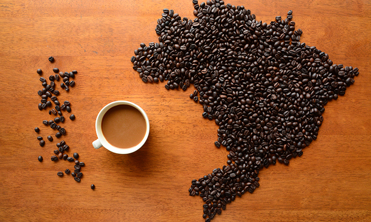 Exportações brasileiras para o Reino Unido e União Europeia prosperam com o boom do comércio de café