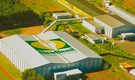 Bem Brasil garante liderança em vendas de batatas congeladas no mercado brasileiro