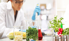 O papel dos aditivos na toxicologia dos alimentos