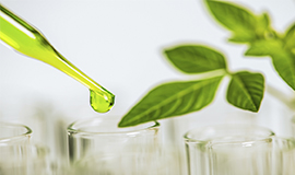 Produção biotecnológica de aromas
