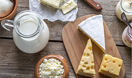 Os produtos da biotecnologia aplicados na indústria láctea