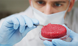 As inovações que aceleram a produção de proteína animal