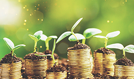Hormel Foods investe em novo fundo de capital de risco