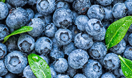 Novo estudo descobriu que blueberries podem ser boas para o coração