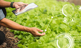 Tecnologia agropecuária e seus impactos no setor de alimentos