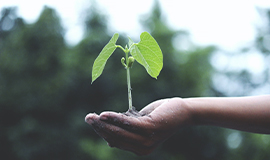 Firmenich pontua alto em sustentabilidade