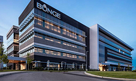 Bunge começa a colher os frutos da sua estratégia de melhoria contínua