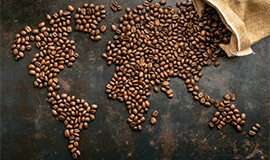 Café de origem única: o que é e por que os consumidores estão optando por ele?