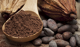O sabor do cacau