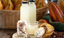 Cacau: um alimento que representa o movimento Upcyclin Food