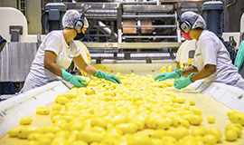 Bem Brasil é certificada por norma internacional de segurança de alimentos