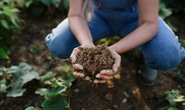 Agricultura regenerativa: as marcas estão fazendo o suficiente?