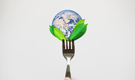 Como se destacar em sustentabilidade