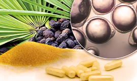 Por que encapsular ingredientes?