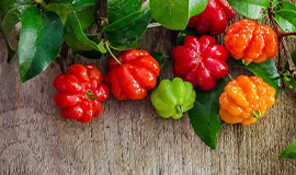 Frutas silvestres em produtos lácteos