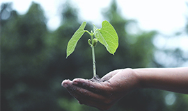 Corbion obtém classificação ouro por desempenho em sustentabilidade