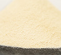 Arbiom lança ingrediente de proteína de levedura