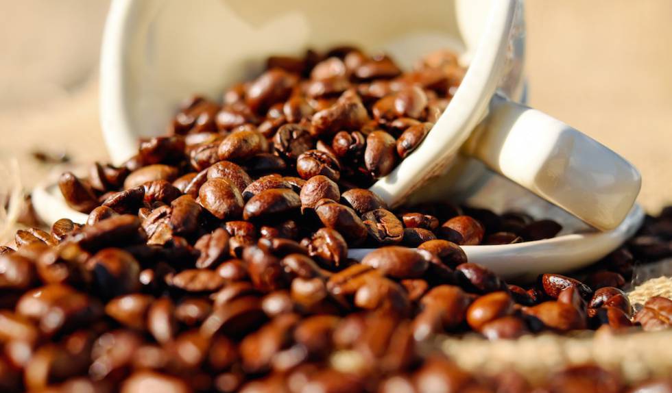 Ingredientes funcionais do café… além da cafeína
